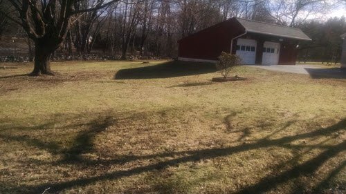 A grassy yard with scattered trees and shadows, a small shrub, and a red building with two garage doors in the background—perfect for Yard Clean Ups or Property Restoration in Northeast Connecticut.