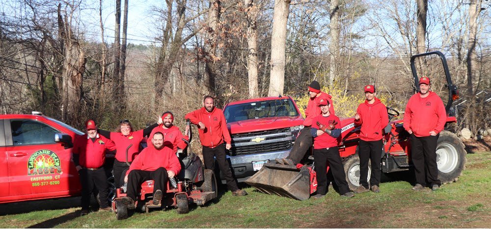 How Professional Lawn Care Services Benefit Busy Working Professionals