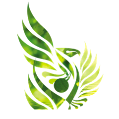 Stylized green and yellow eagle with outstretched wings, holding a circular object in its talon, on a white background. Stylized green and yellow eagle with outstretched wings, holding a circular object in its talon, on a white background.
