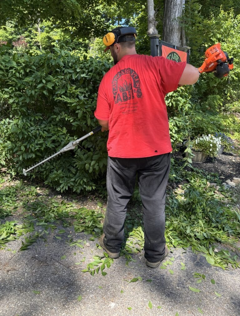A person wearing safety gear trims a leafy bush with a hedge trimmer, standing on a paved surface with cut branches on the ground.