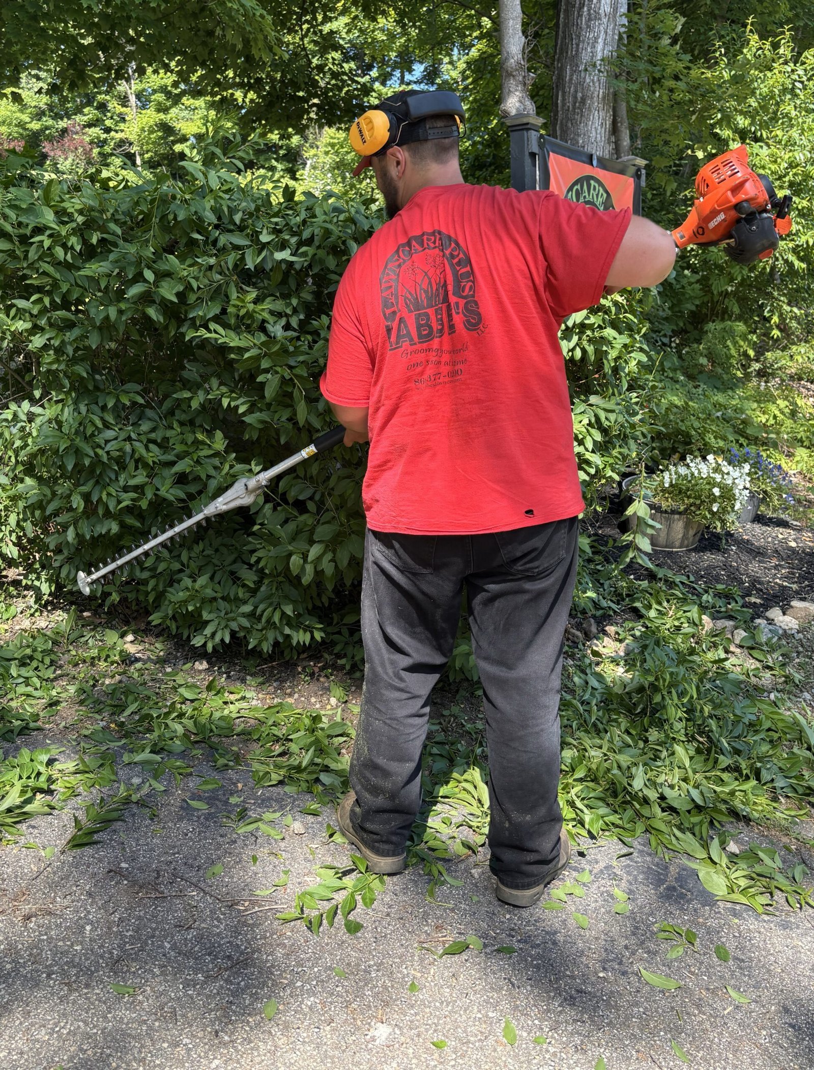 Professional Trimming Services: Keeping Northeast Connecticut Landscapes in Perfect Shape