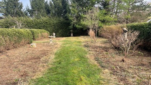 A grassy path runs through a garden with trimmed hedges, bare trees, and stone statues in the background—showcasing careful lawn care under a partly cloudy sky.