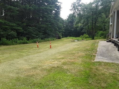 A grassy yard, ideal for restoring lawns or lawn care, features two orange traffic cones in the center; trees line the background and a house is partially visible on the right.