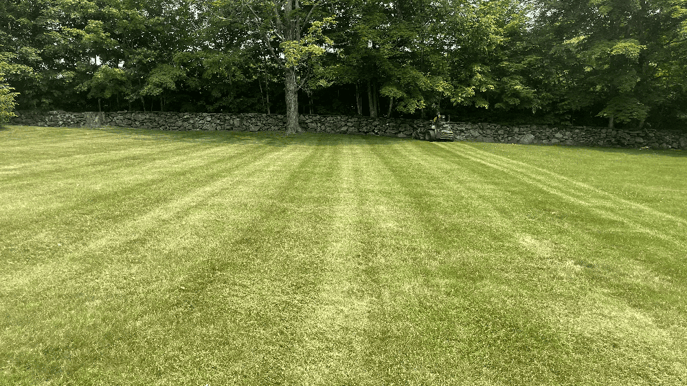 Professional Lawn Mowing and Maintenance: Beautifully Manicured Lawns With Labbe's Lawncare